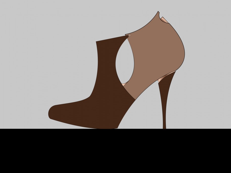 shoe1